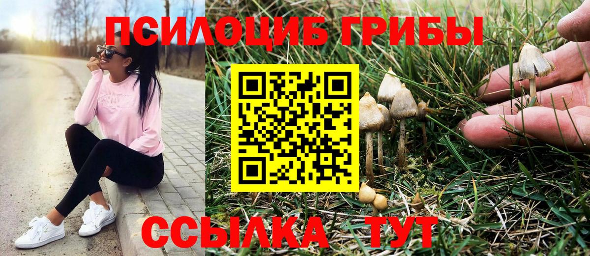Галлюциногенные грибы Magic Shrooms Киров
