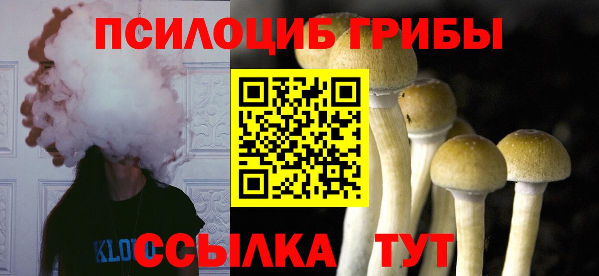 Киров  Галлюциногенные грибы ЛСД  Вход с VPN 